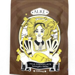 Psilocybin Mushroom Chocolate