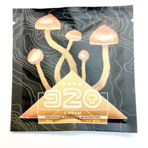 1000mg Psilocybin Hot Chocolate Drink Mix